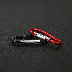 Alloy Keychain (Pack of 10) (Multicolored)