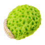 Baby bath sponge - green