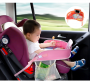 Car Portable table for children - two lions