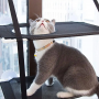 Cat hammock sucking disc - black dubble layer