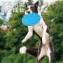 Dog Frisbee toy soft disc - green