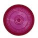 Dog Frisbee toy soft disc - transparent purple