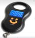 Electronic hanging scale 