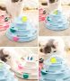Four Layer Track Turntable Ball Cat Toy-Blue