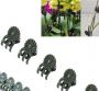 Gardening flower orchid - butterfly orchid clip 50/pack