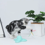 Interaktywna zabawka dla kota Latający Motylek - miętowa