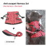 Leash for Cat and Dog - Red Color XS Size