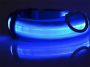 LED Dog Collar Night Flash Nylon BLUE M