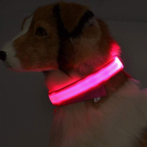 LED Dog Collar Night Flash Nylon PINK XS