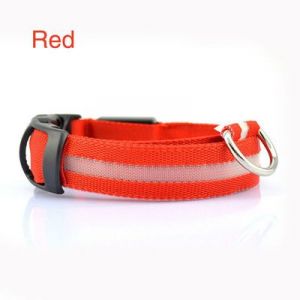 LED Dog Collar Night Flash Nylon Red M