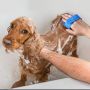 Pet Clean Massage shower Brush / rubber gloves - dark red CX24