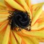 Photo blanket Keep the Moment - Sunflower