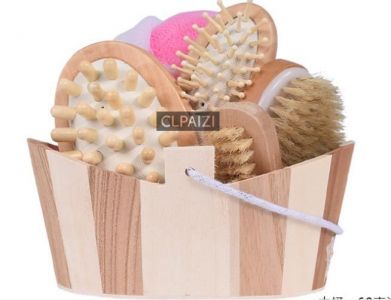 Shower Brush Set (Model 2)