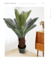 Sztuczna roślina dekoracyjna wysokość 80 cm - typ. 1